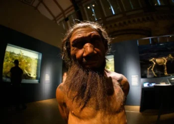 آغاز رابطه انسان و نئاندرتال، ۲۵۰ هزار سال پیش!