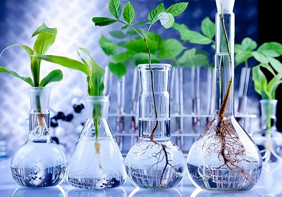 مهندسی بیوتکنولوژی چیست و چطور میتوان وارد این رشته شد؟