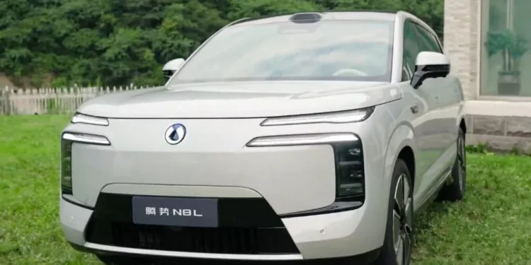 بی وای دی دنزا N8L؛ کراس‌اوور لوکس با ۳ ردیف صندلی