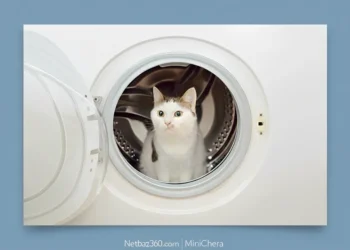 گربه ‌ام به طور تصادفی در خشک‌ کن کشته شد!