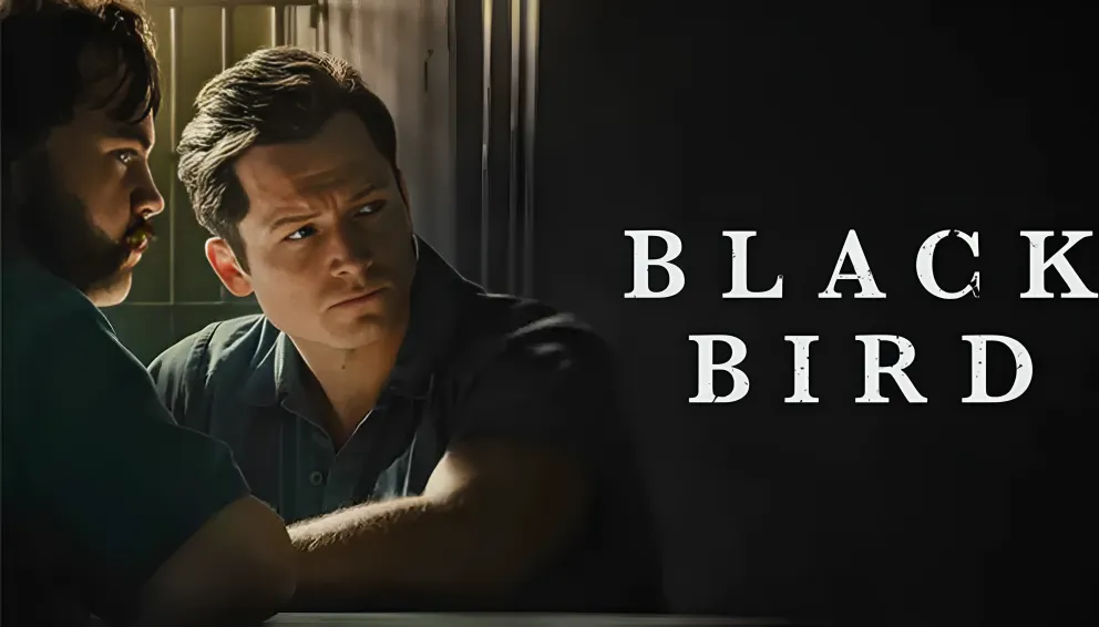 11 تا از سریال های جنایی که یکی پس از دیگری باید شروع کنید